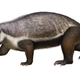 Reconstruction of Adalatheruim hui.